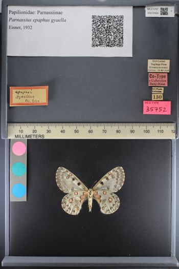 Media type: image;   Entomology 72424